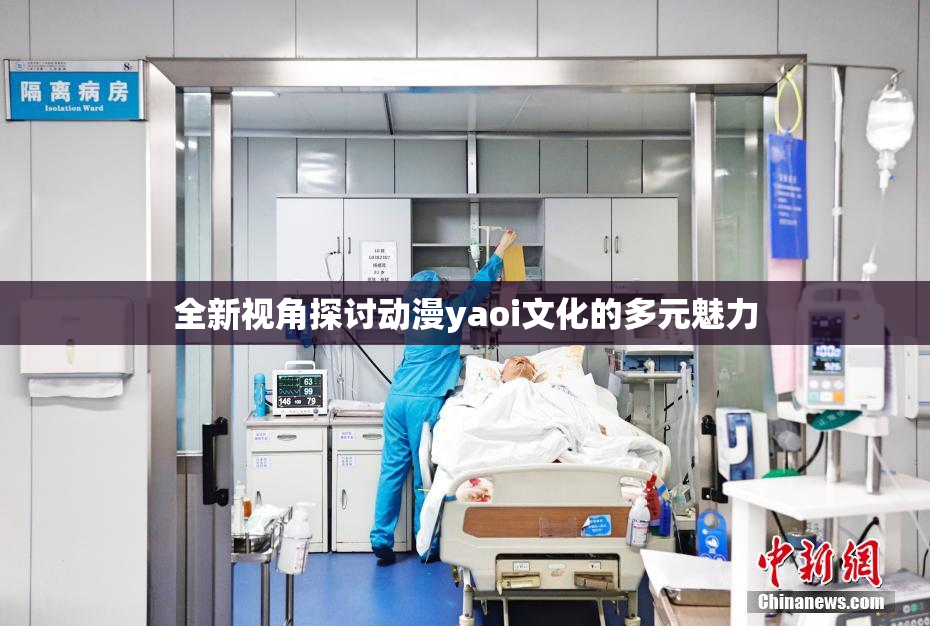 全新视角探讨动漫yaoi文化的多元魅力