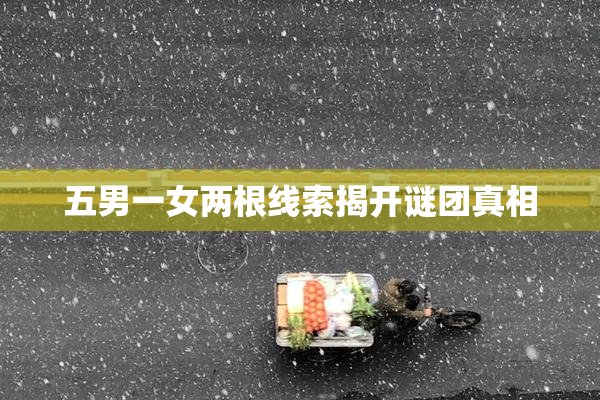 五男一女两根线索揭开谜团真相