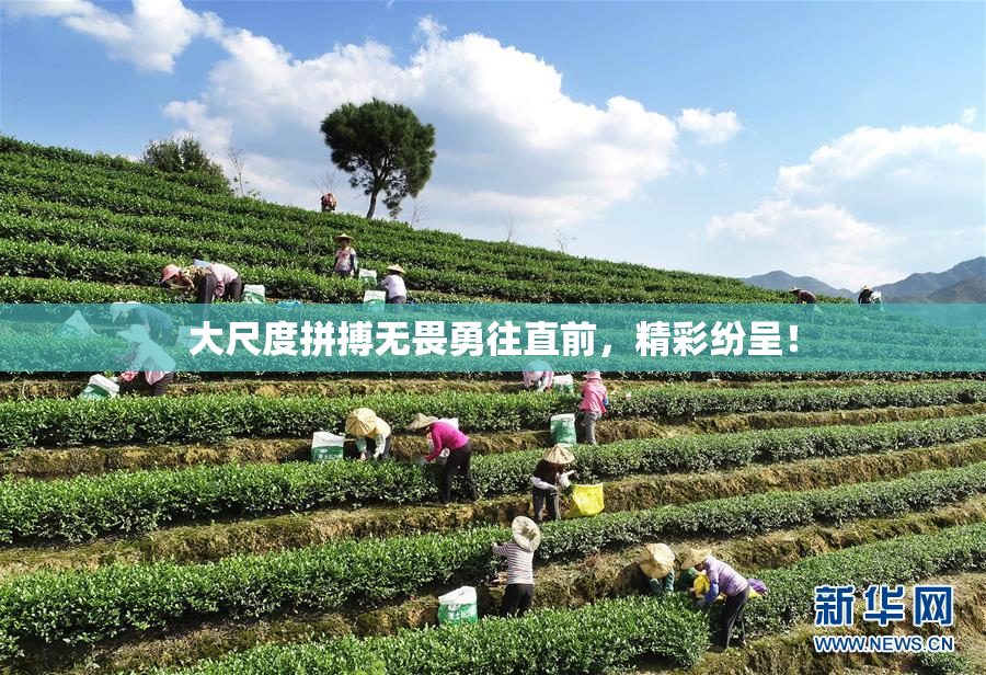 大尺度拼搏无畏勇往直前，精彩纷呈！