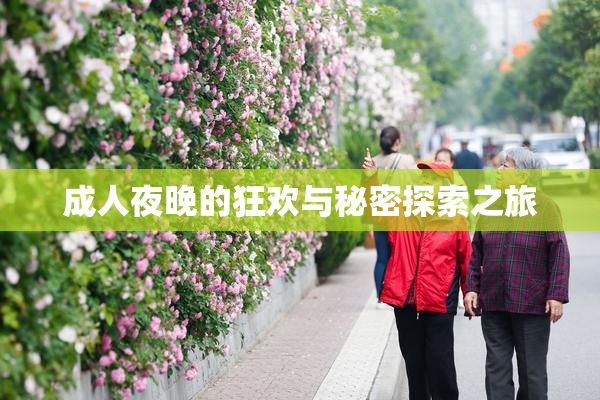 成人夜晚的狂欢与秘密探索之旅