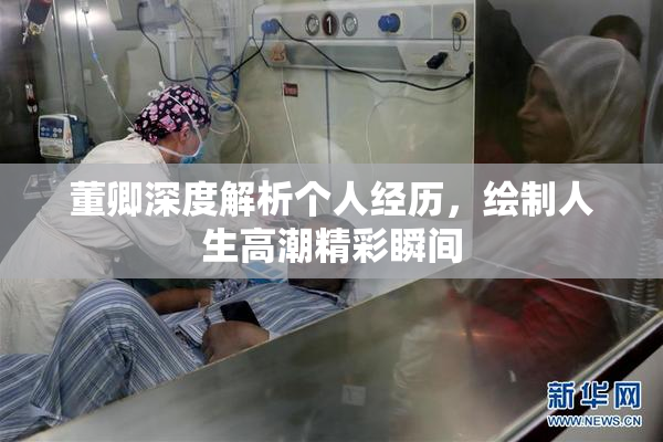 董卿深度解析个人经历，绘制人生高潮精彩瞬间