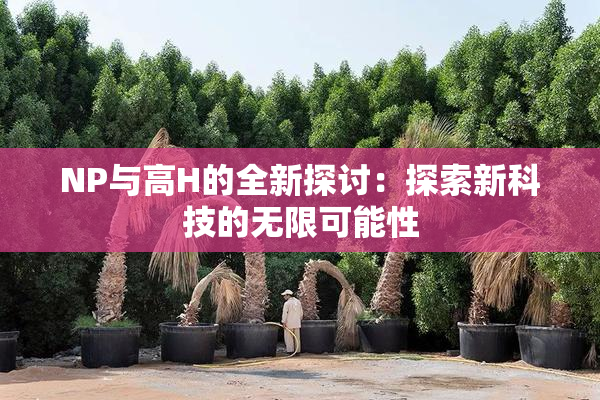 NP与高H的全新探讨：探索新科技的无限可能性