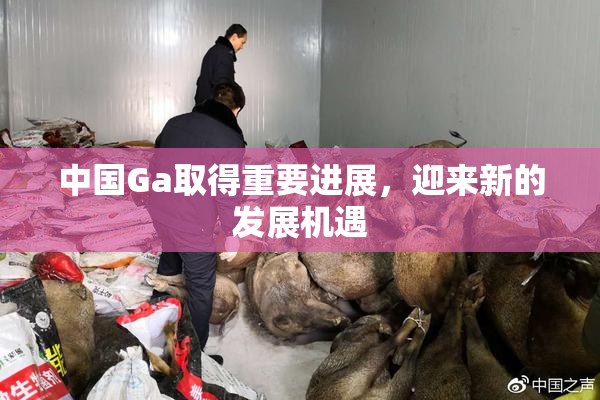 中国Ga取得重要进展，迎来新的发展机遇