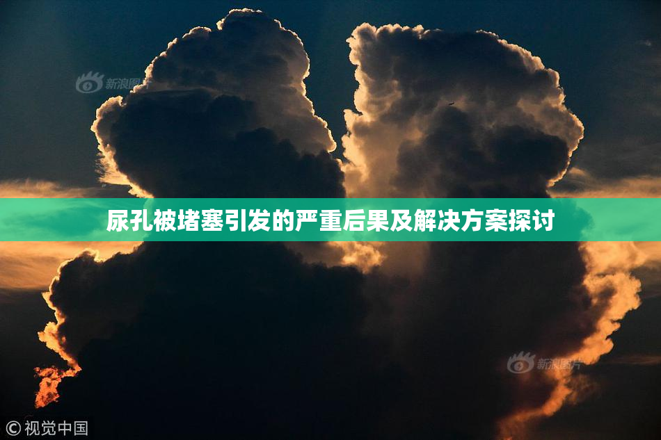 尿孔被堵塞引发的严重后果及解决方案探讨