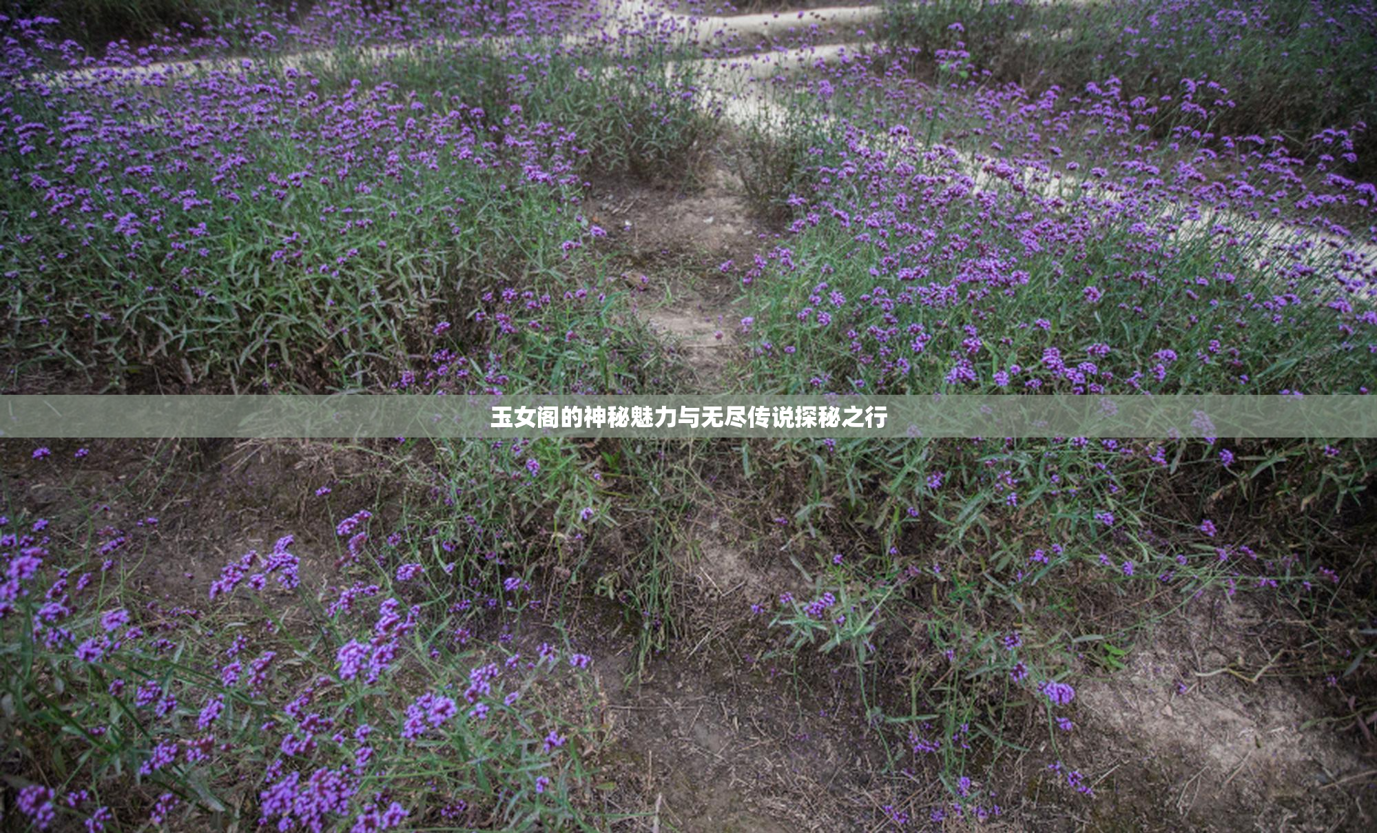 玉女阁的神秘魅力与无尽传说探秘之行