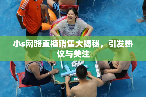 小s网路直播销售大揭秘，引发热议与关注