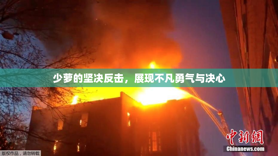 少萝的坚决反击，展现不凡勇气与决心