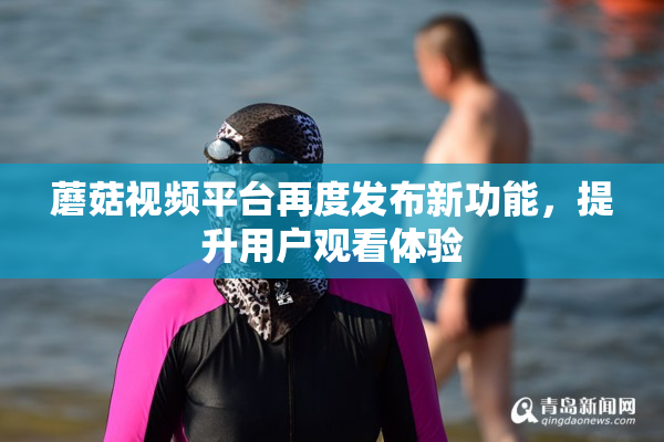 蘑菇视频平台再度发布新功能，提升用户观看体验