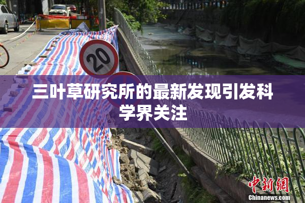 三叶草研究所的最新发现引发科学界关注