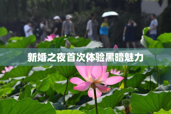 新婚之夜首次体验黑暗魅力