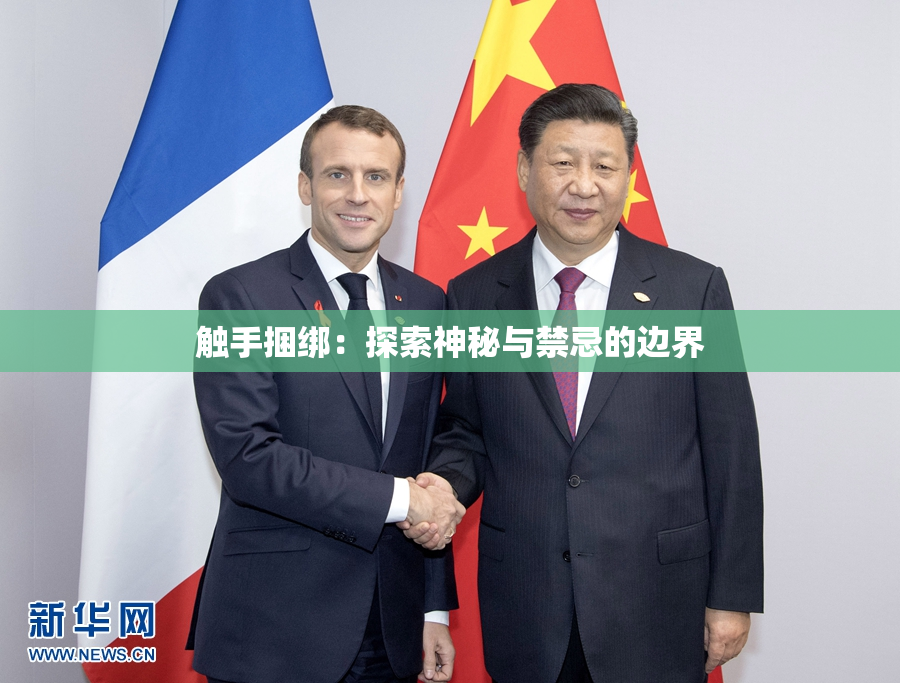 触手捆绑：探索神秘与禁忌的边界