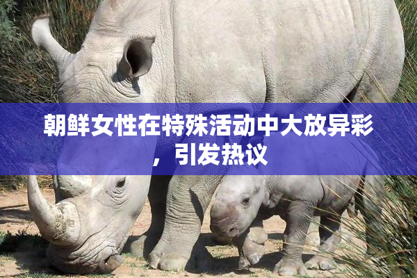 朝鲜女性在特殊活动中大放异彩，引发热议