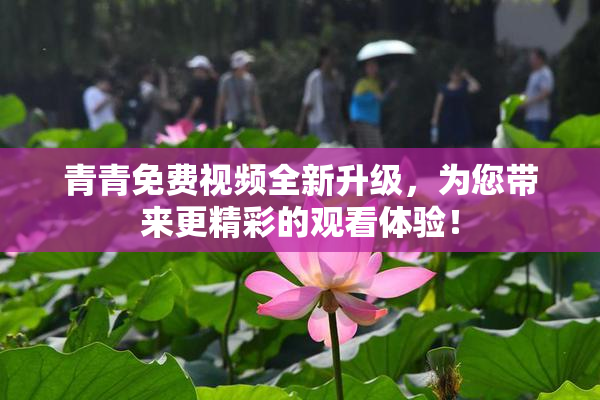 青青免费视频全新升级，为您带来更精彩的观看体验！