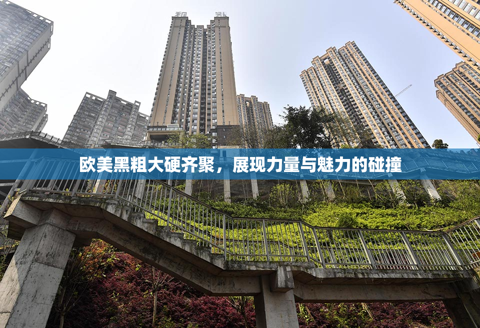 欧美黑粗大硬齐聚，展现力量与魅力的碰撞