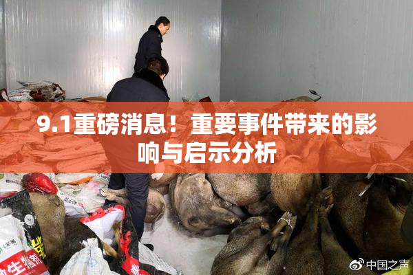 9.1重磅消息！重要事件带来的影响与启示分析