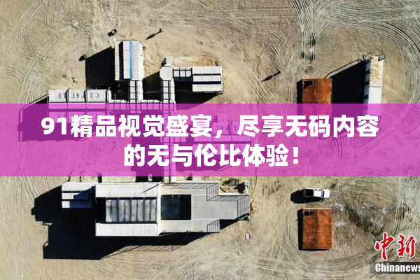 91精品视觉盛宴，尽享无码内容的无与伦比体验！