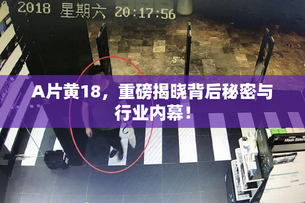 A片黄18，重磅揭晓背后秘密与行业内幕！