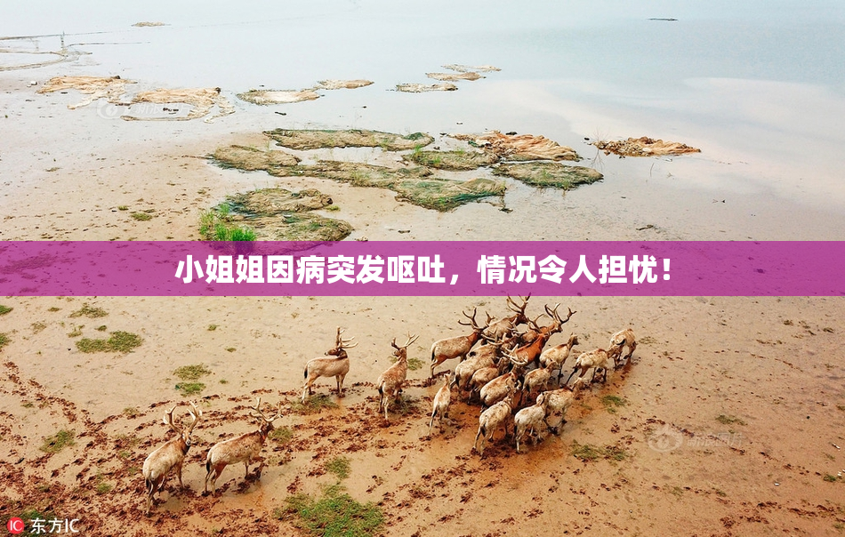 小姐姐因病突发呕吐，情况令人担忧！