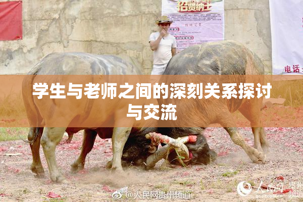 学生与老师之间的深刻关系探讨与交流
