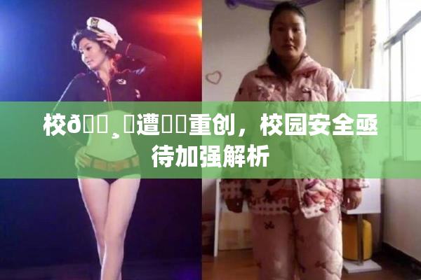 校🌸‌遭❌‌重创，校园安全亟待加强解析