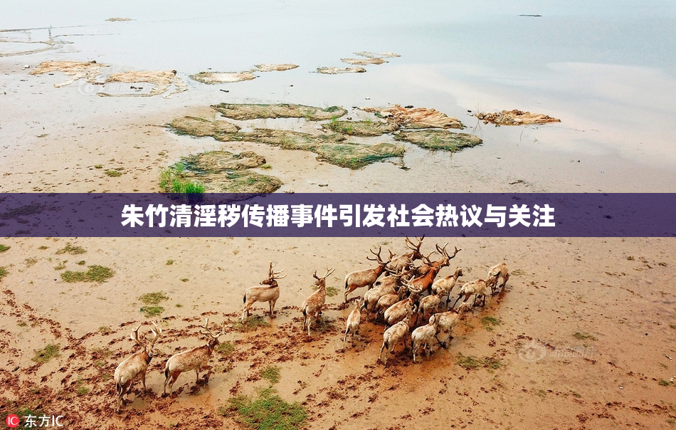 朱竹清淫秽传播事件引发社会热议与关注