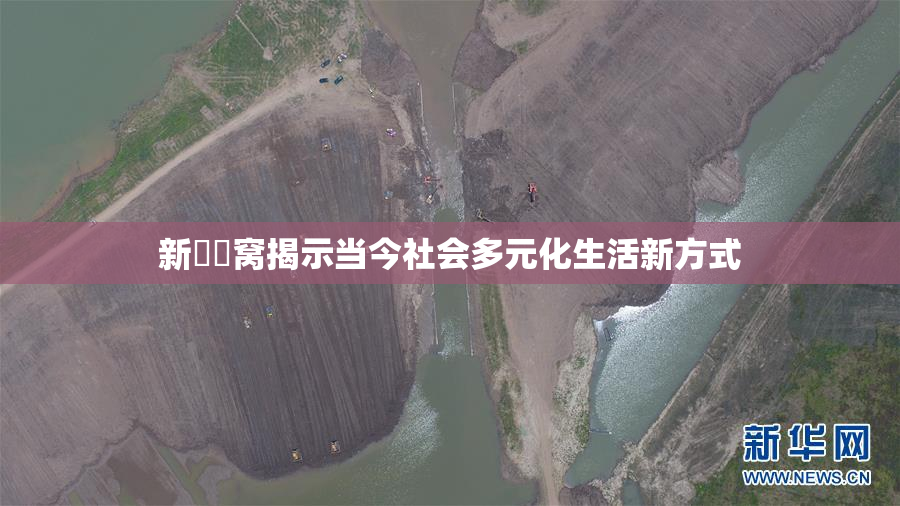 新妺妺窝揭示当今社会多元化生活新方式
