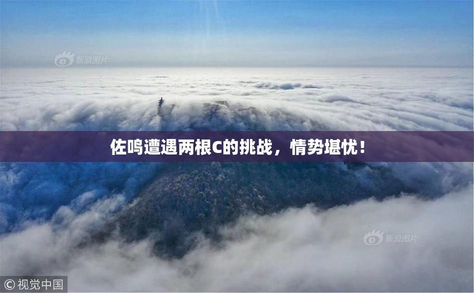 佐鸣遭遇两根C的挑战，情势堪忧！