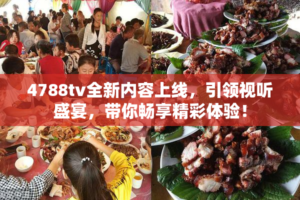 4788tv全新内容上线，引领视听盛宴，带你畅享精彩体验！