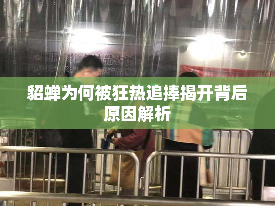 貂蝉为何被狂热追捧揭开背后原因解析