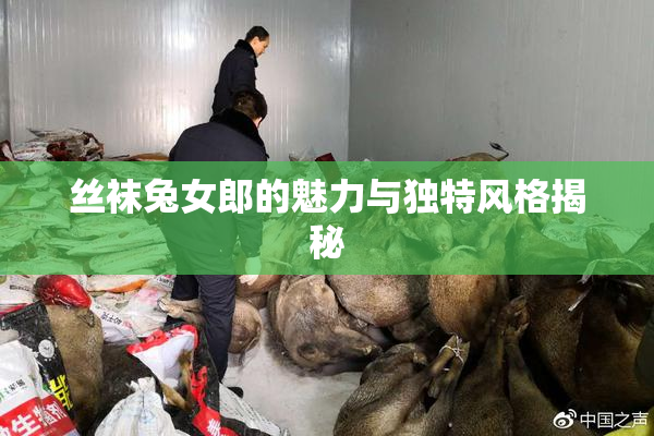丝袜兔女郎的魅力与独特风格揭秘