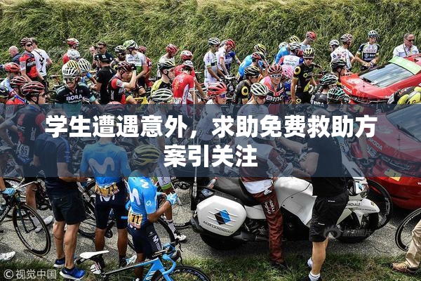 学生遭遇意外，求助免费救助方案引关注