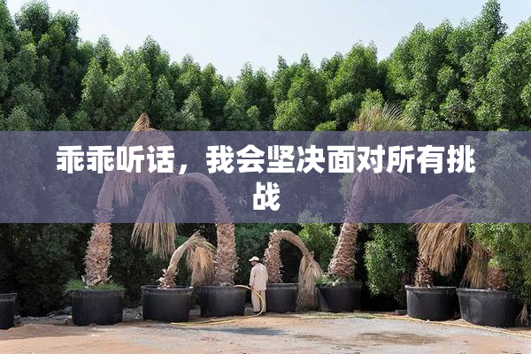 乖乖听话，我会坚决面对所有挑战