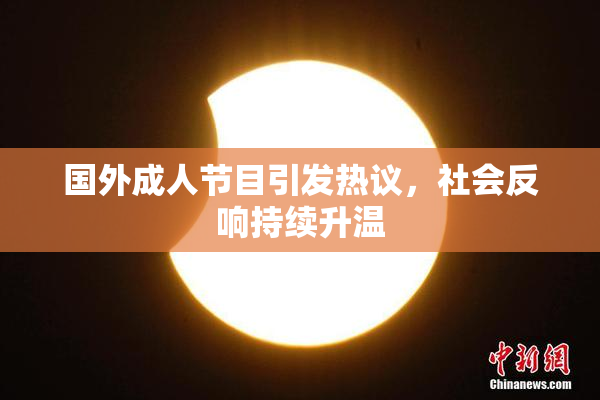 国外成人节目引发热议，社会反响持续升温