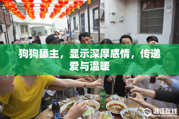 狗狗舔主，显示深厚感情，传递爱与温暖