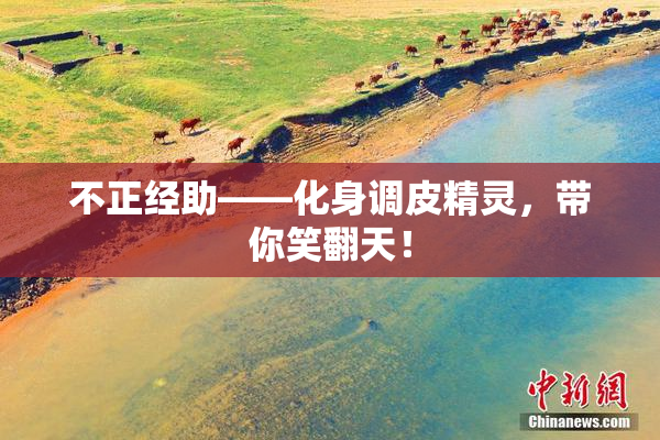 不正经助——化身调皮精灵，带你笑翻天！