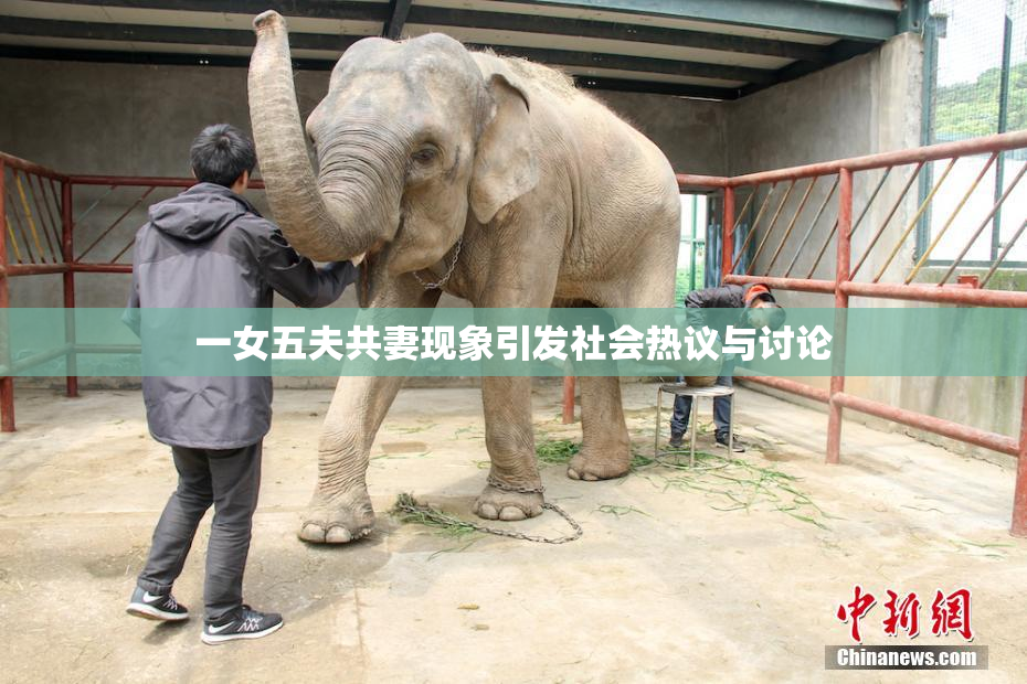 一女五夫共妻现象引发社会热议与讨论