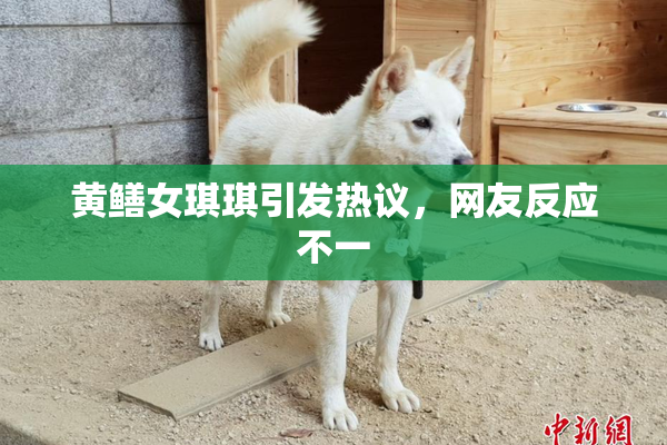 黄鳝女琪琪引发热议，网友反应不一