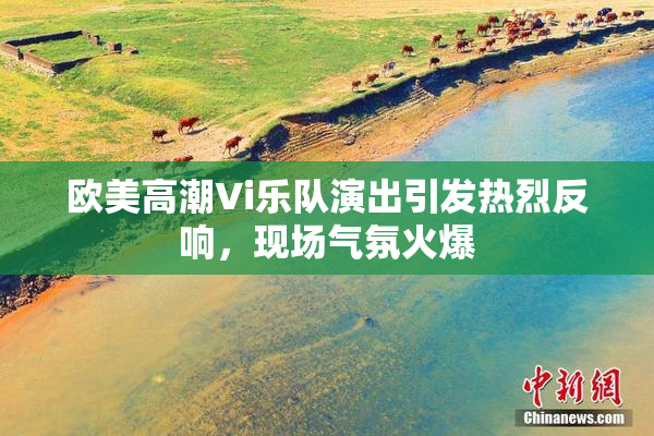 欧美高潮Vi乐队演出引发热烈反响，现场气氛火爆