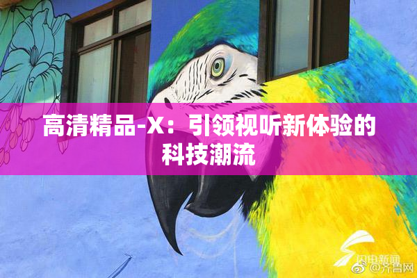 高清精品-X：引领视听新体验的科技潮流