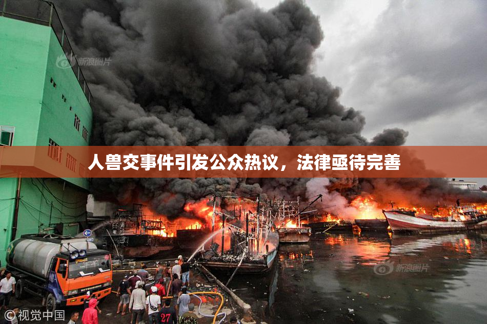 人兽交事件引发公众热议，法律亟待完善