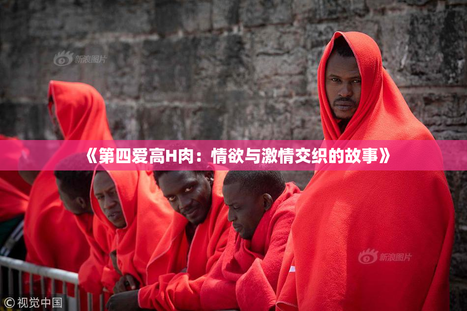 《第四爱高H肉：情欲与激情交织的故事》