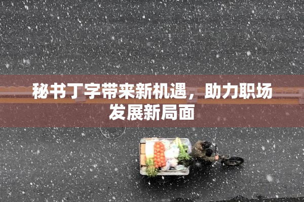 秘书丁字带来新机遇，助力职场发展新局面