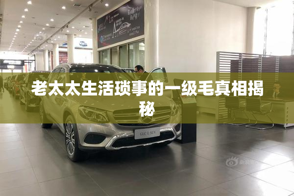 老太太生活琐事的一级毛真相揭秘