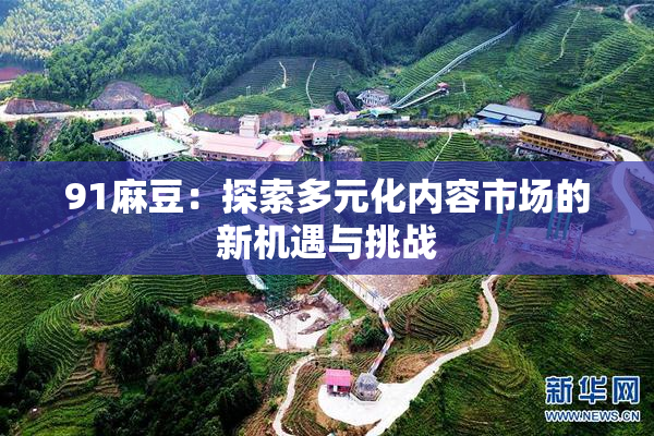 91麻豆：探索多元化内容市场的新机遇与挑战
