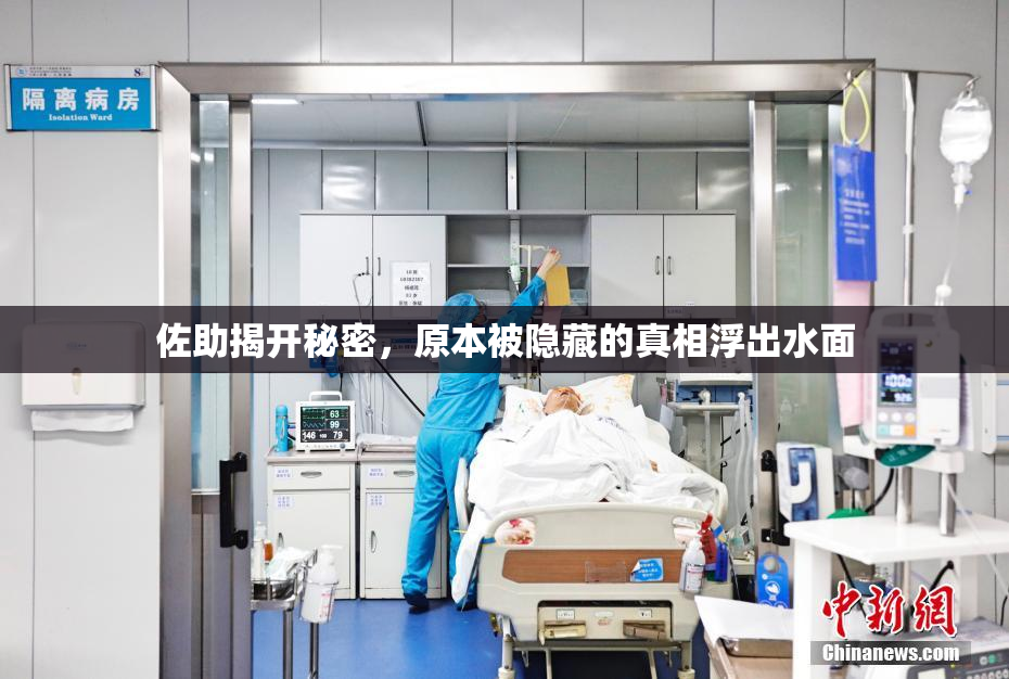 佐助揭开秘密，原本被隐藏的真相浮出水面