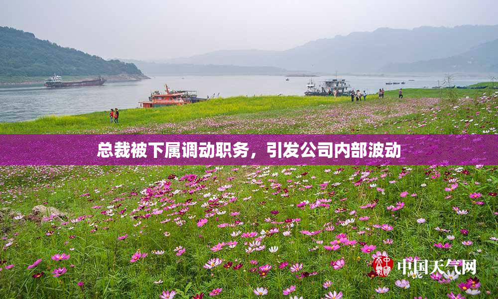 总裁被下属调动职务，引发公司内部波动