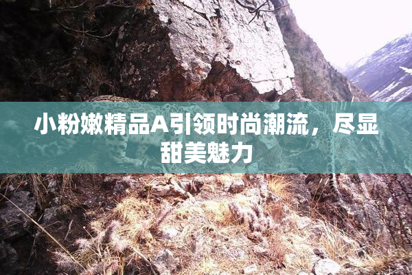 小粉嫩精品A引领时尚潮流，尽显甜美魅力