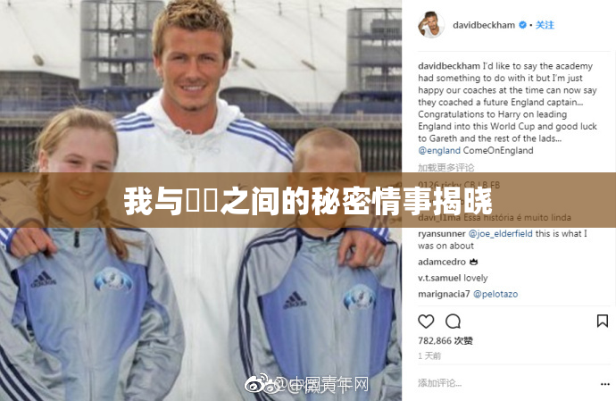 我与妺妺之间的秘密情事揭晓