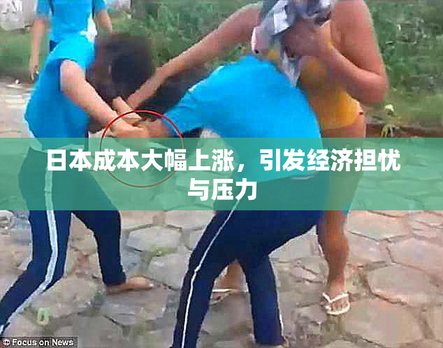 日本成本大幅上涨，引发经济担忧与压力