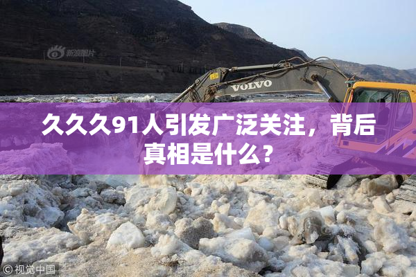 久久久91人引发广泛关注，背后真相是什么？